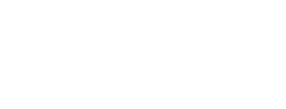 Vidu
